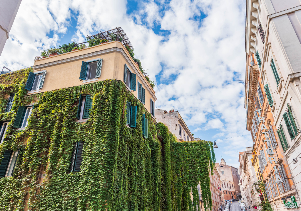L'immagine rappresenta un angolo di Via Panisperna con un palazzo coperto da edera rampicante.