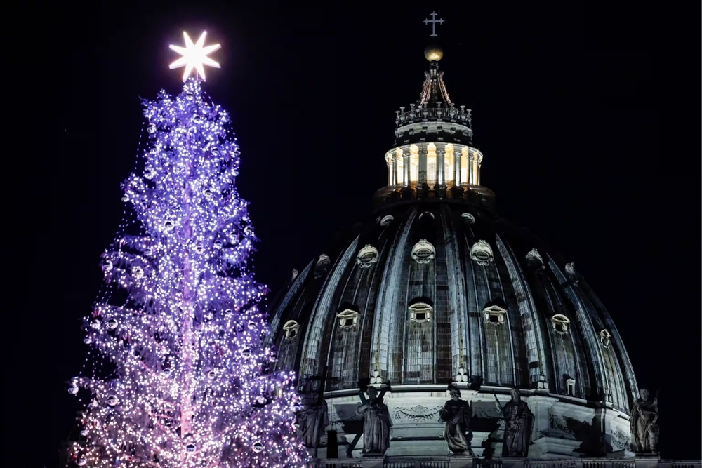 l'immagine rappresenta la cupola del Vaticano la sera con davanti la punta di un albero di Natale illuminato